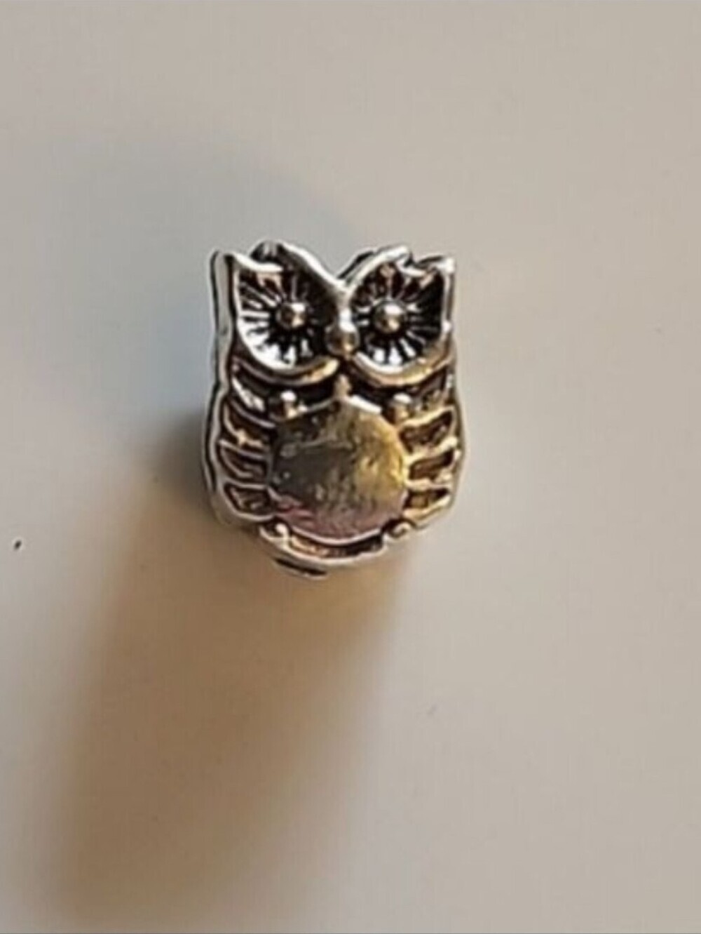 SMART  Owl  Bracelet Charm Compatable With Pandora